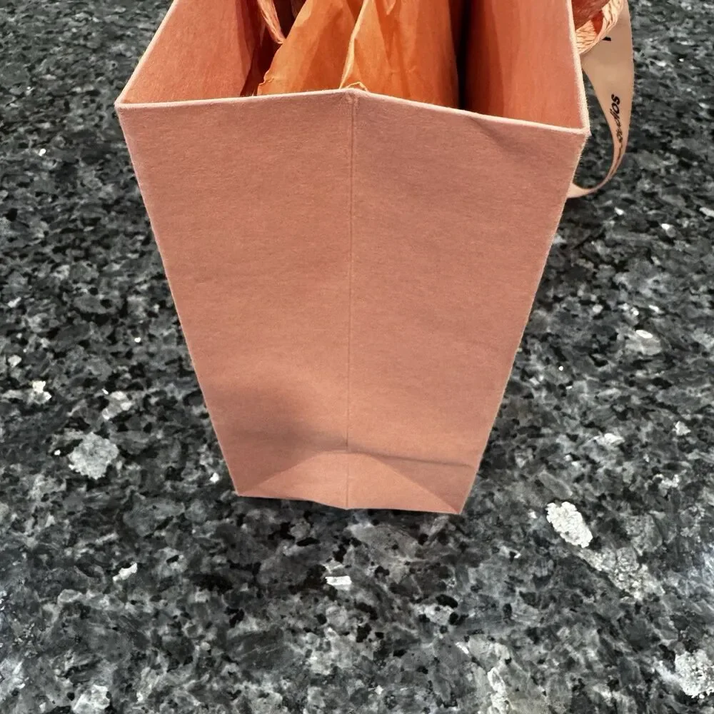 3 Acne Studios Pink Shopping Ribbon Empty Gift Bags 12 x 8 x 4